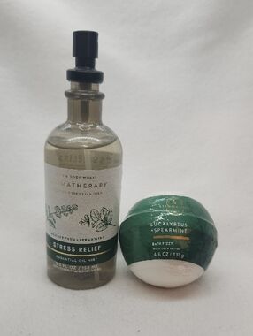 Bath and Body Works Aromatherapy Eucalyptus Spearmint Stress Relief 2 Pc Set New